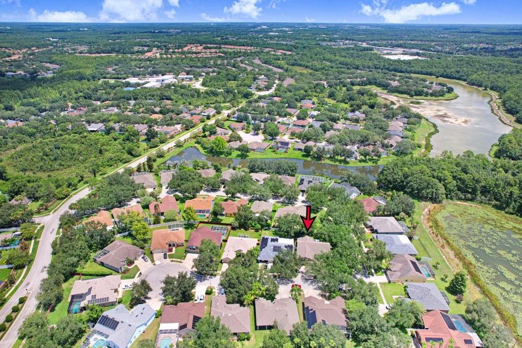 8612 Swann Ridge Court Tampa, FL 33647 - Photo 26 of 30
