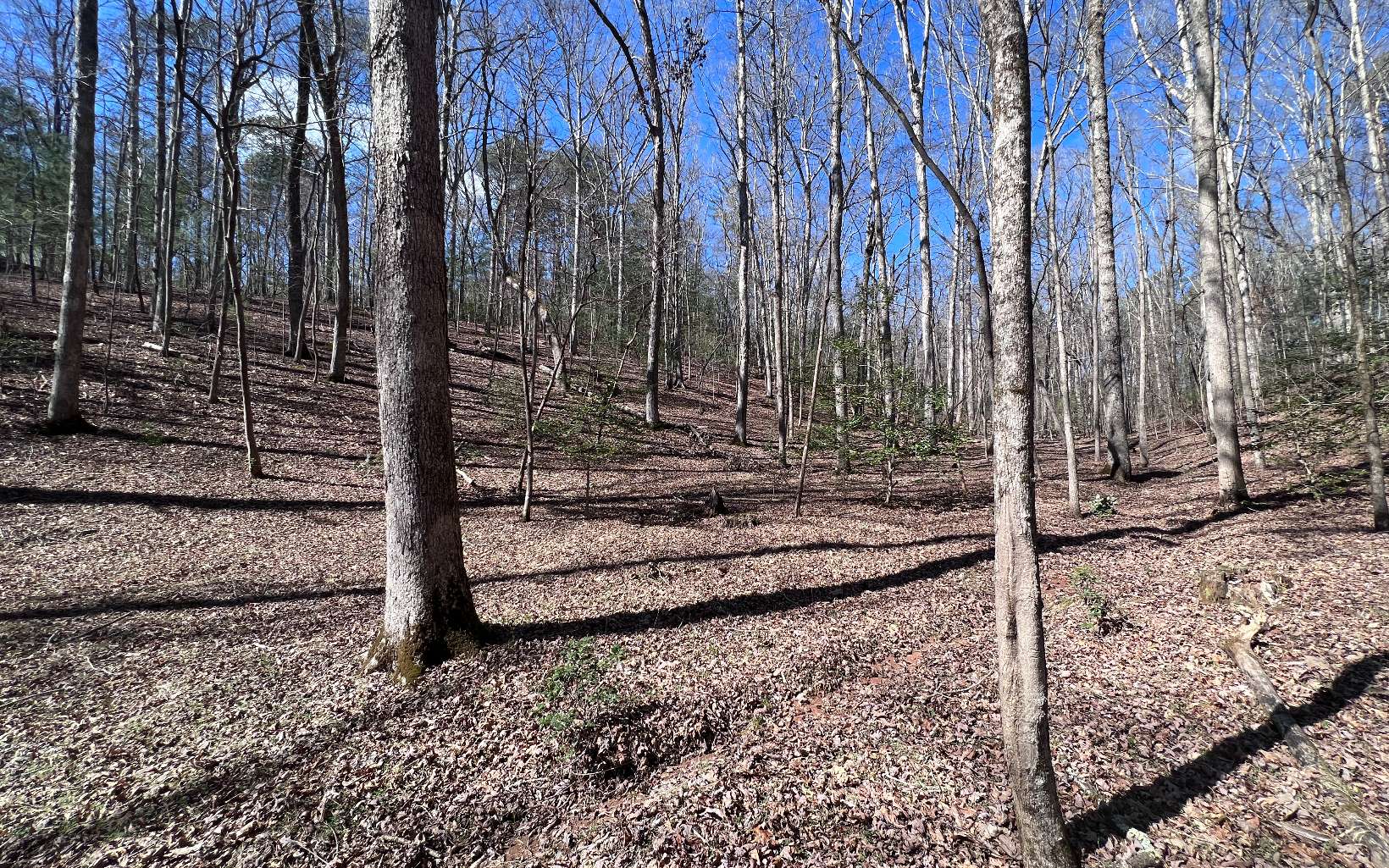22 East Goldmine Road Ellijay, GA 30536 - Photo 13 of 40 Additional View