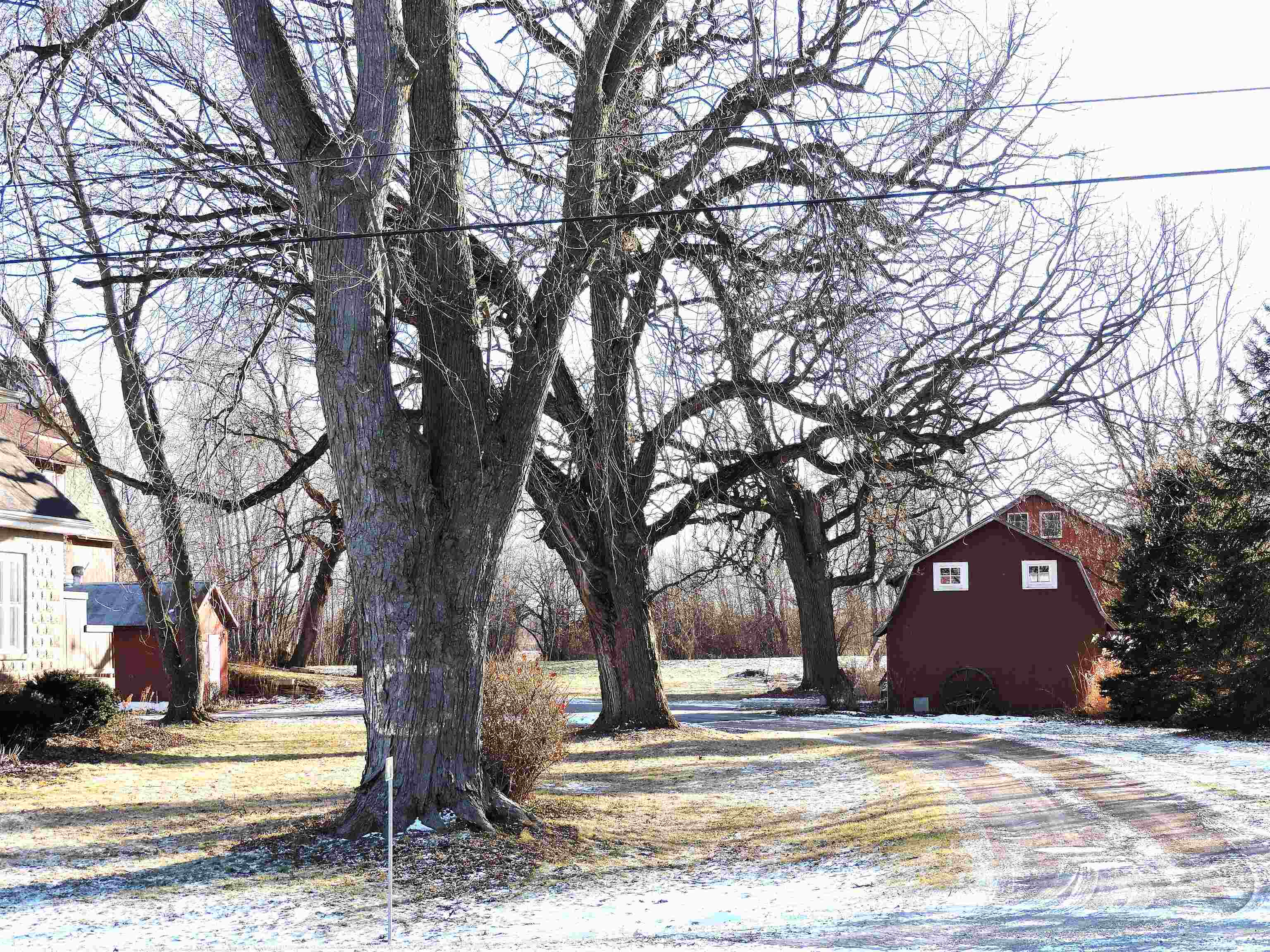 5987 County Road East Omro, WI 54963 - Photo 5 of 8