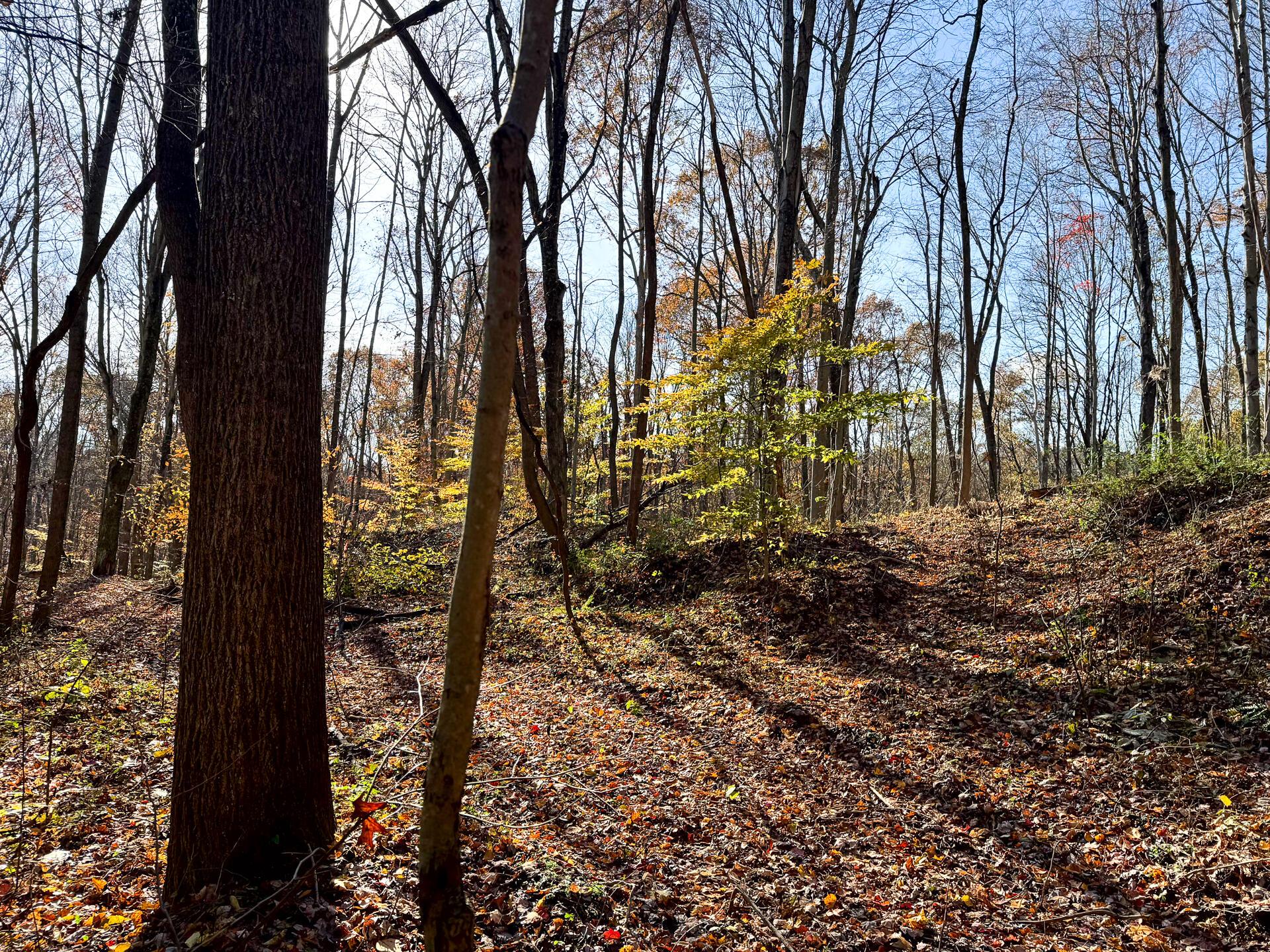 929 Poplar Ridge Road, Unit PONDS POPLAR RIDGE TRACT 14) Gallipolis, OH 45631 - Photo 23 of 30 CT-23