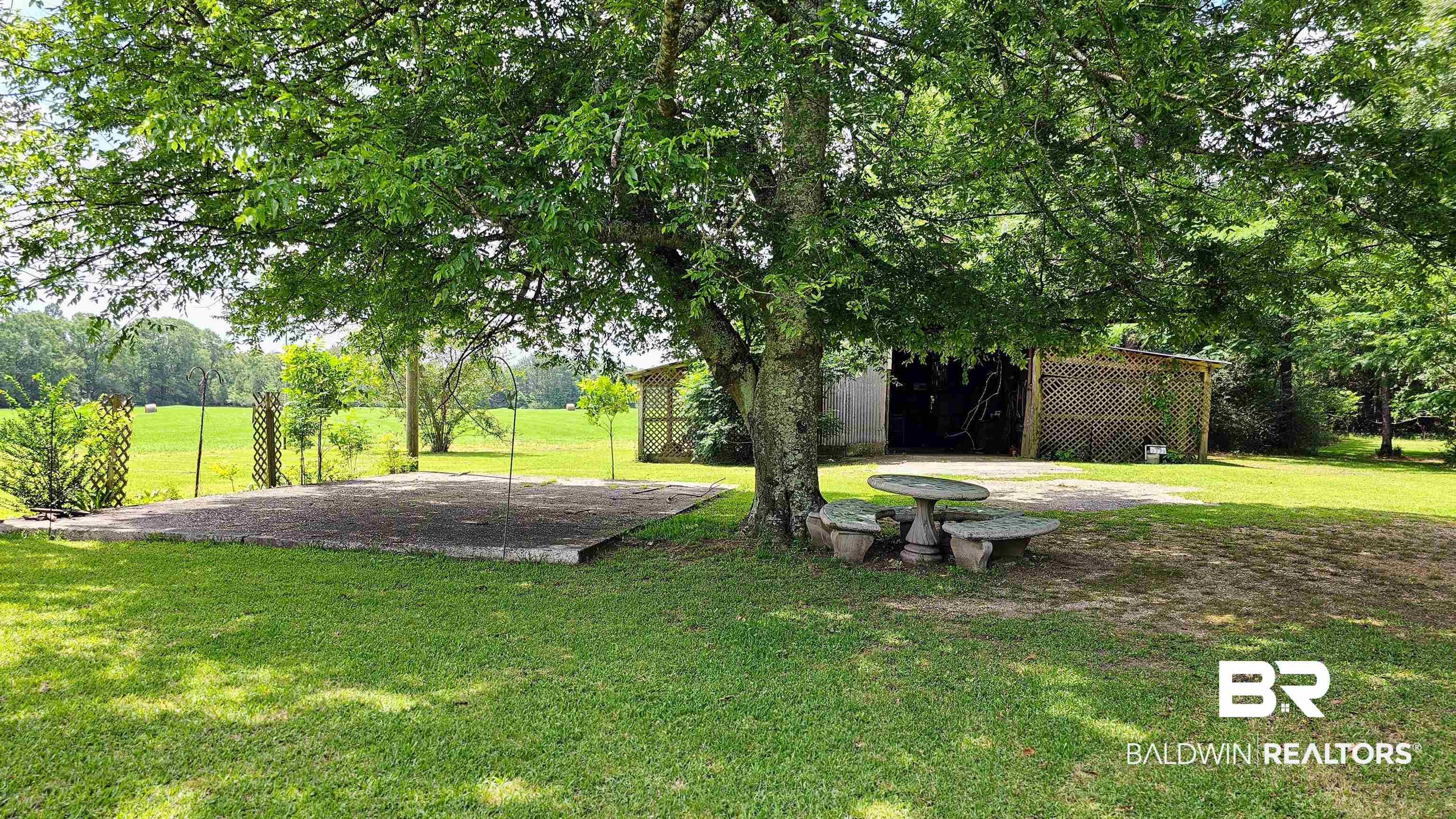3379 Joe Reeves Road Castleberry, AL 36432 - Photo 12 of 26