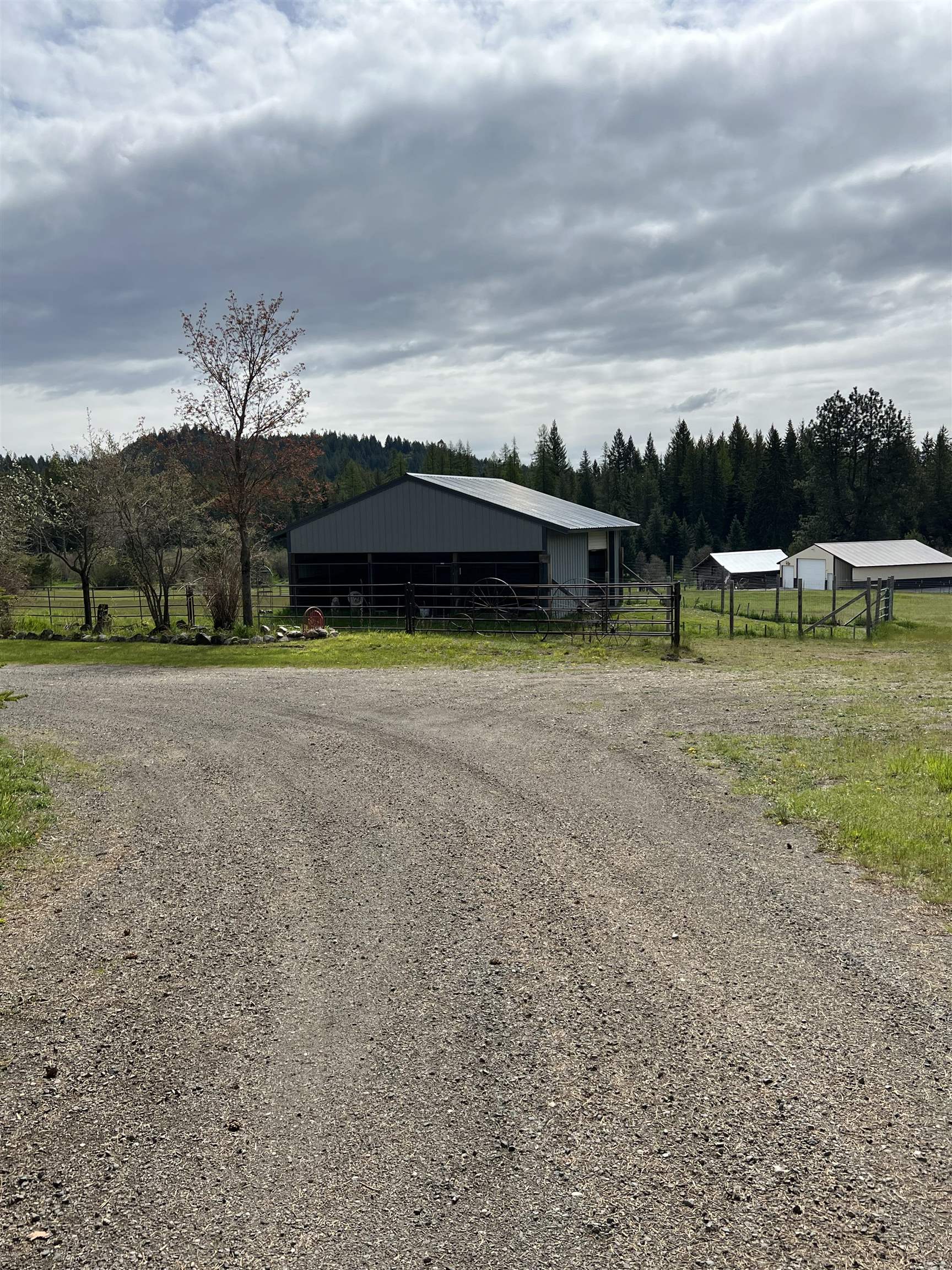 2702 Fertile Valley Road Newport, WA 99156 - Photo 8 of 38