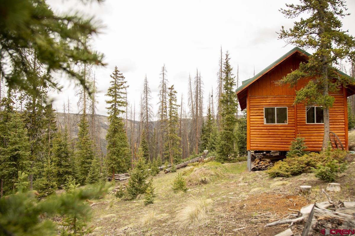 3190 Forest Road, Unit 503 Creede, CO 81130 - Photo 11 of 22 a view of a backyard of the house