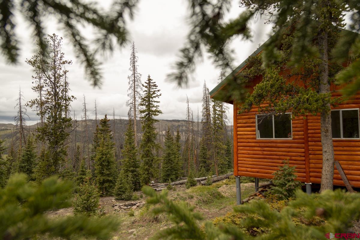 3190 Forest Road, Unit 503 Creede, CO 81130 - Photo 14 of 22 a view of a backyard