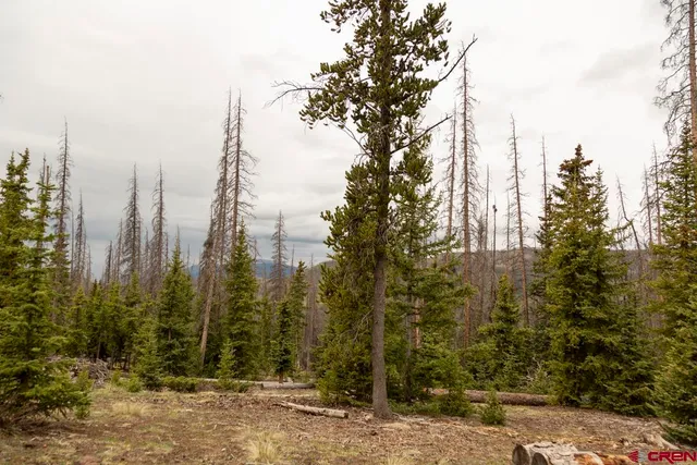 a view of a city with lots of trees