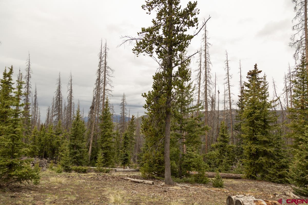 3190 Forest Road, Unit 503 Creede, CO 81130 - Photo 15 of 22 a view of a city with lots of trees