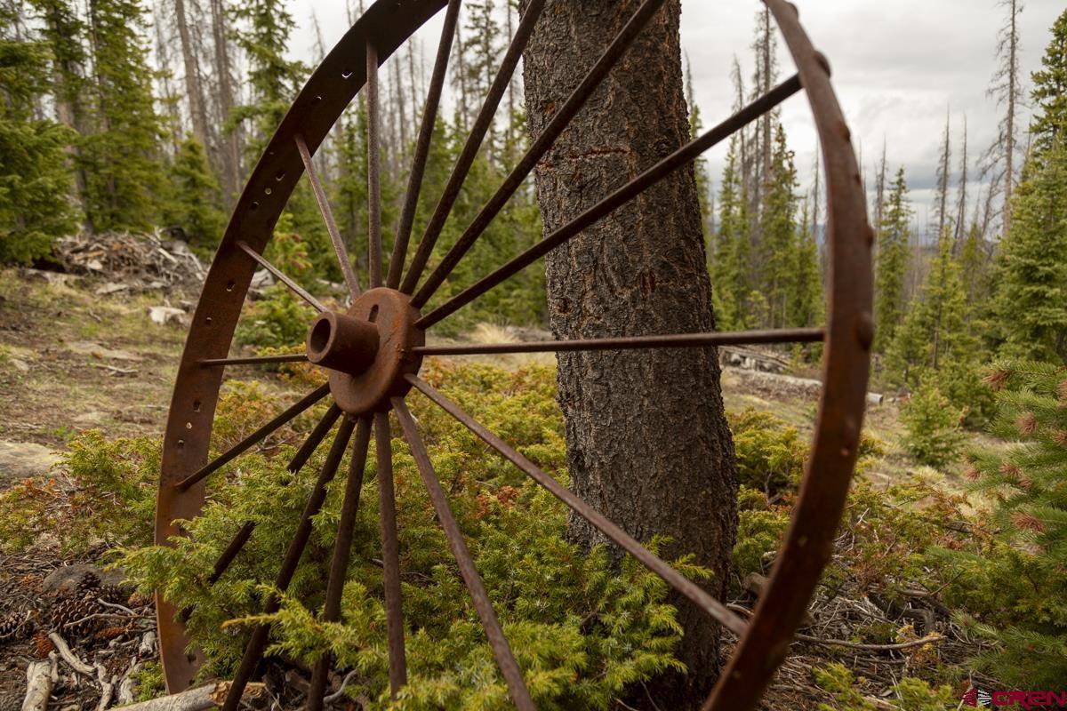 3190 Forest Road, Unit 503 Creede, CO 81130 - Photo 18 of 22 a view of with green trees