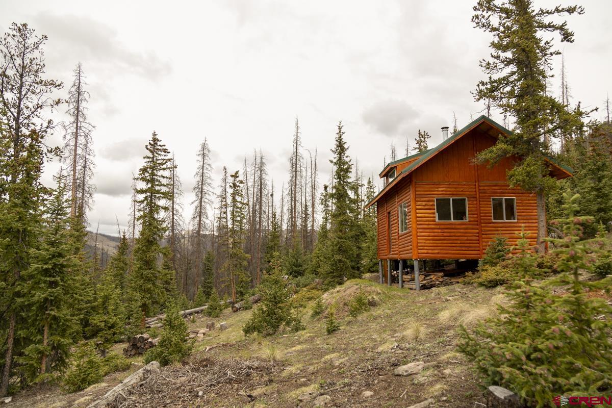3190 Forest Road, Unit 503 Creede, CO 81130 - Photo 20 of 22 a view of a backyard with plants and large trees