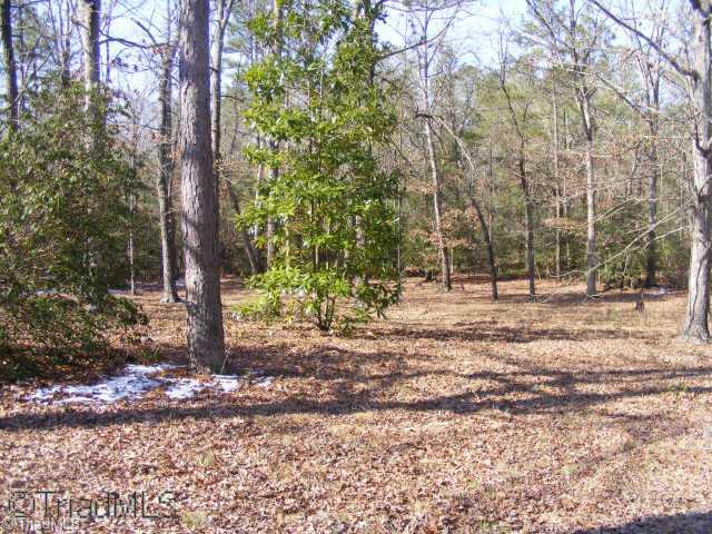 2282 Ether Road Star, NC 27356 - Photo 2 of 5 Other. Land View