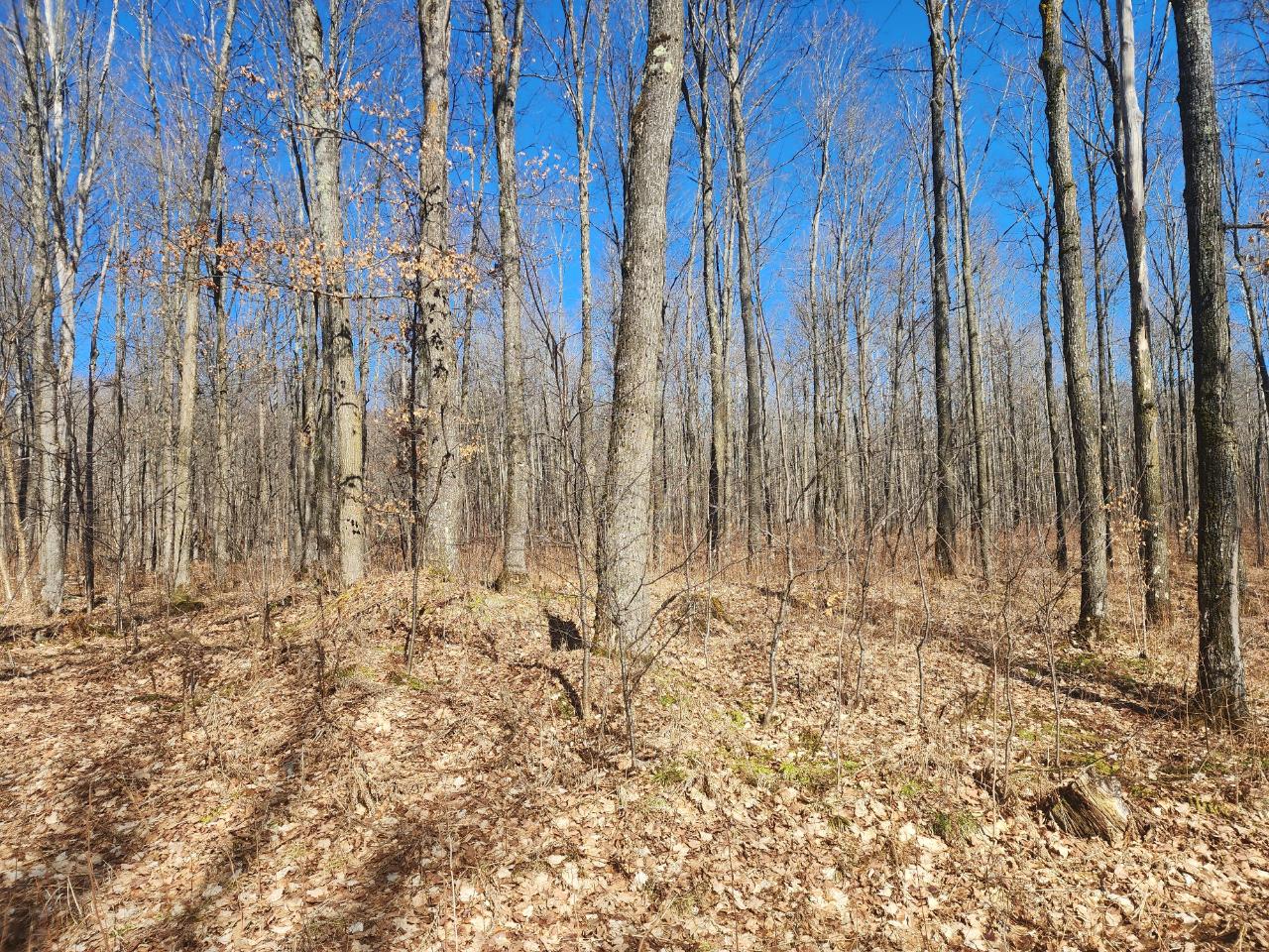 80-ac County Line Lake Road, Unit ON Watersmeet, MI 49969 - Photo 5 of 7 Gallery Image 5