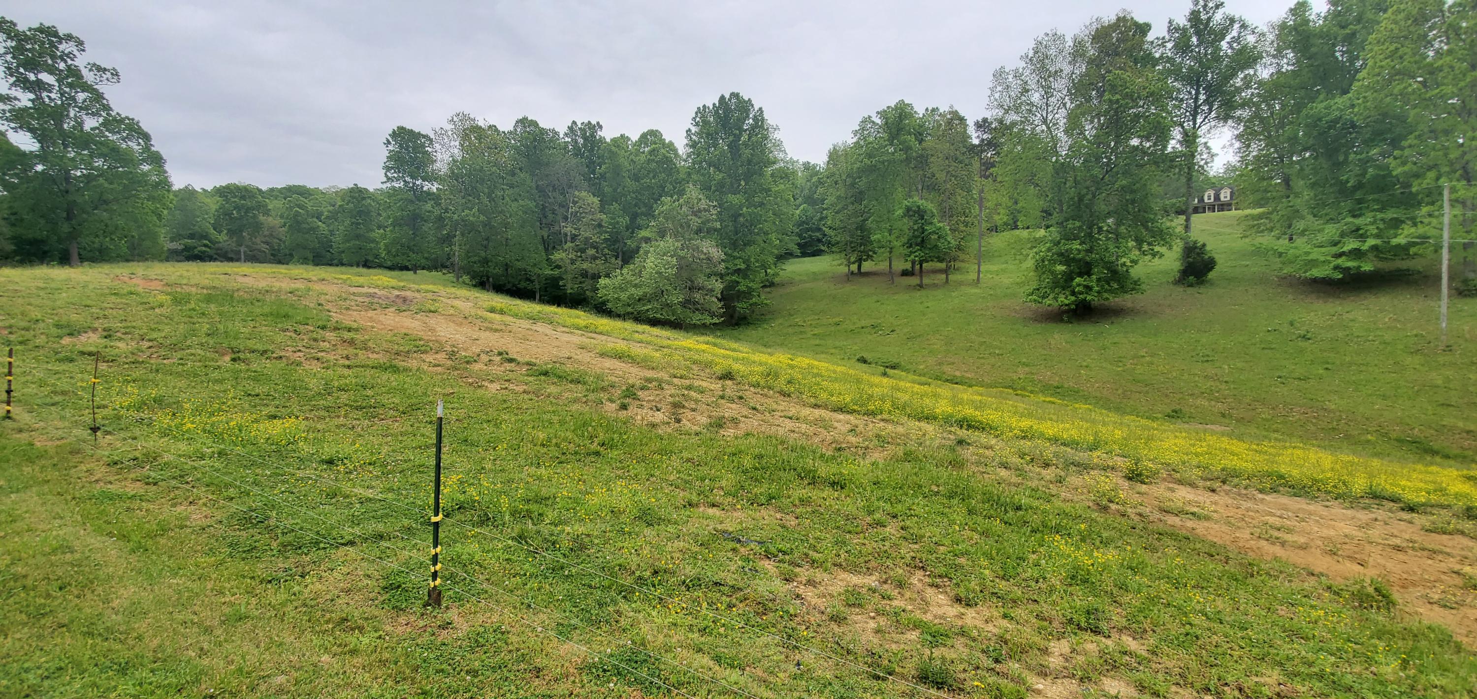 240 Possum Valley Road Maynardville, TN 37807 - Photo 31 of 40 20200508_105656