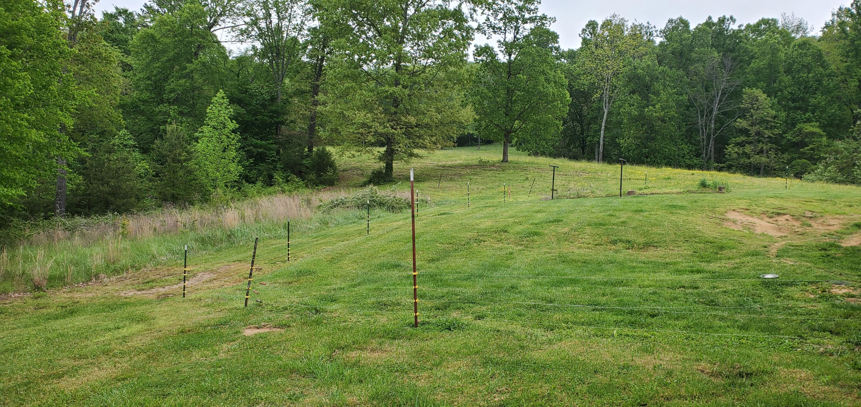 240 Possum Valley Road Maynardville, TN 37807 - Photo 32 of 40 20200508_105434