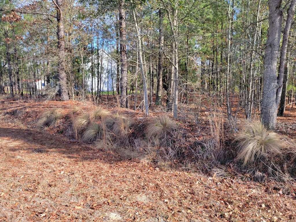 St-johns St Johns Road Rembert, SC 29128 - Photo 5 of 8