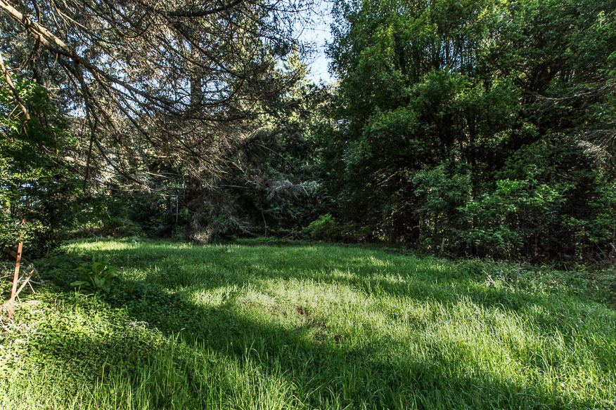 536 Warren Creek Road Arcata, CA 95521 - Photo 51 of 55