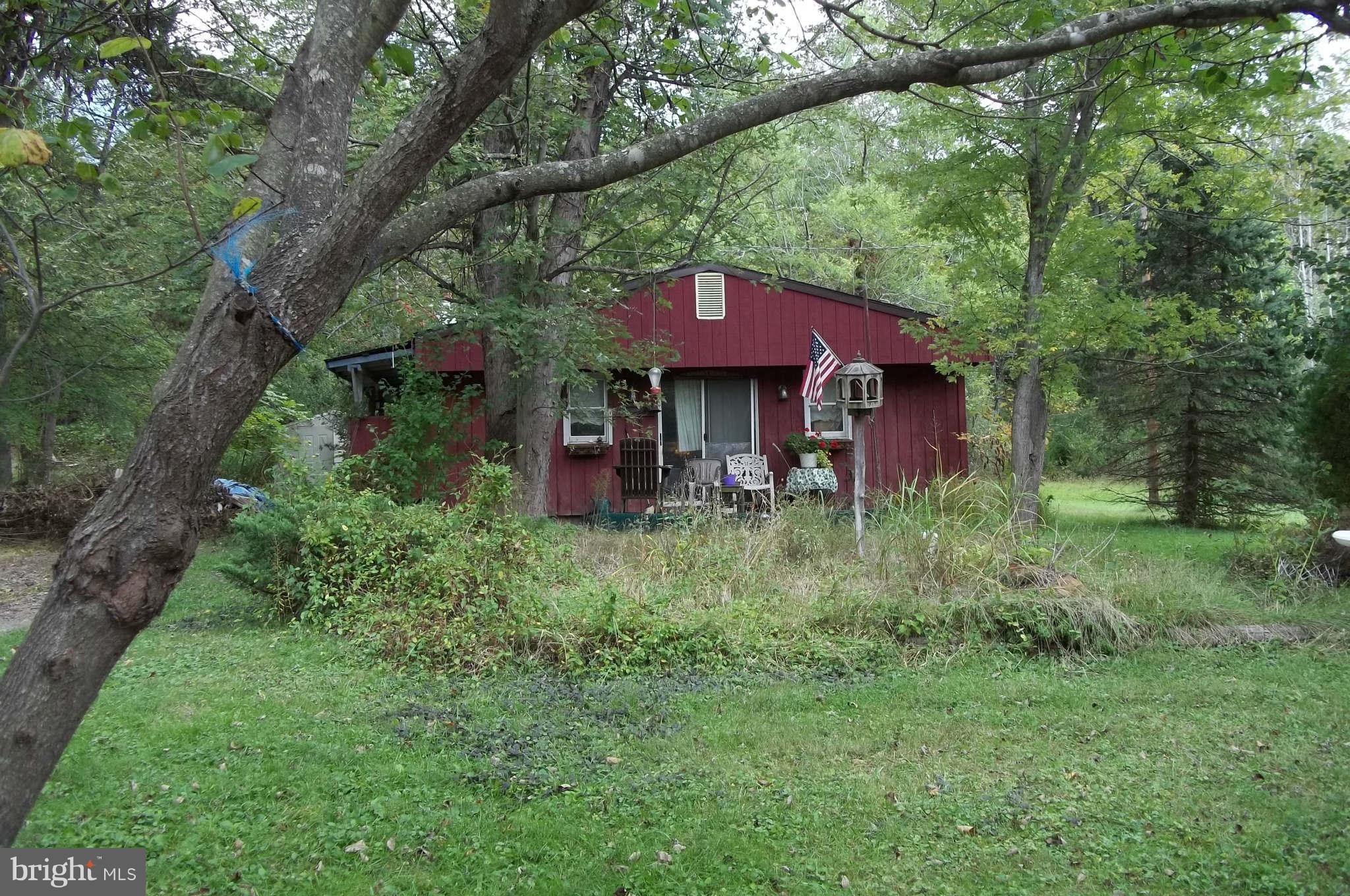 110 Rippling Waters Lane Capon Bridge, WV 26711 - Photo 6 of 17 Exterior (General)