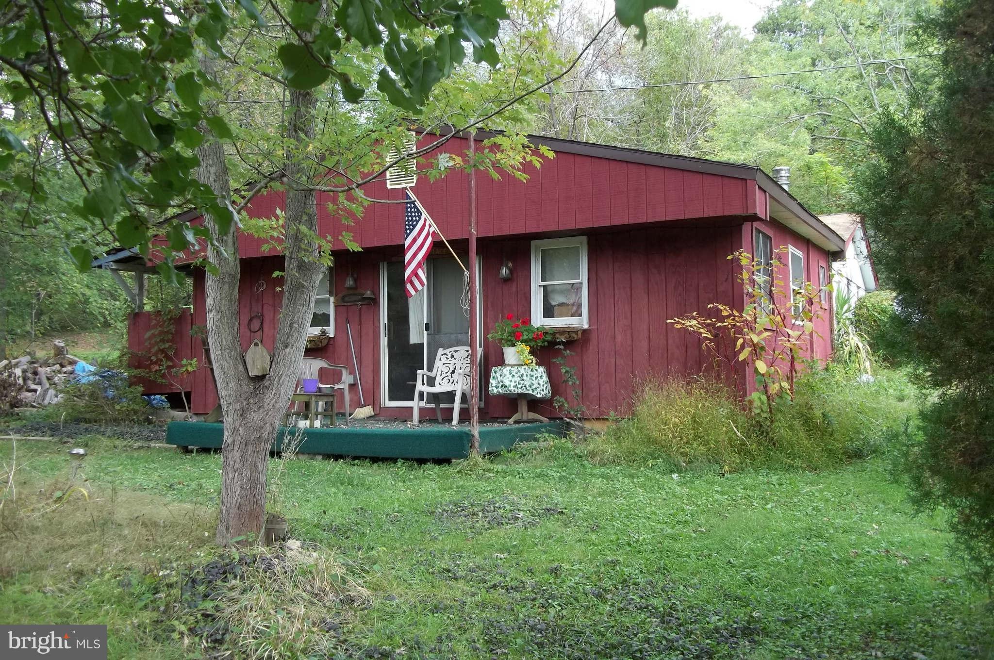 110 Rippling Waters Lane Capon Bridge, WV 26711 - Photo 7 of 17 Exterior (General)