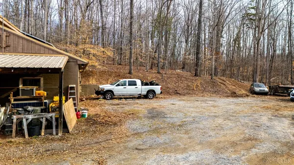 a view of backyard with large trees and wooden fence