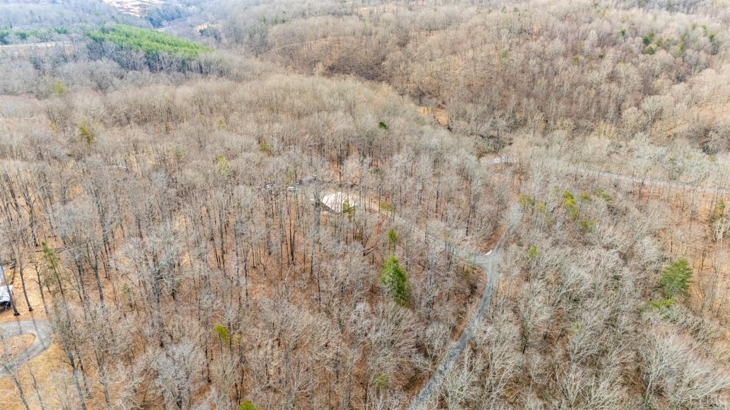 8-lot Cottage Charm Goode, VA 24556 - Photo 30 of 58