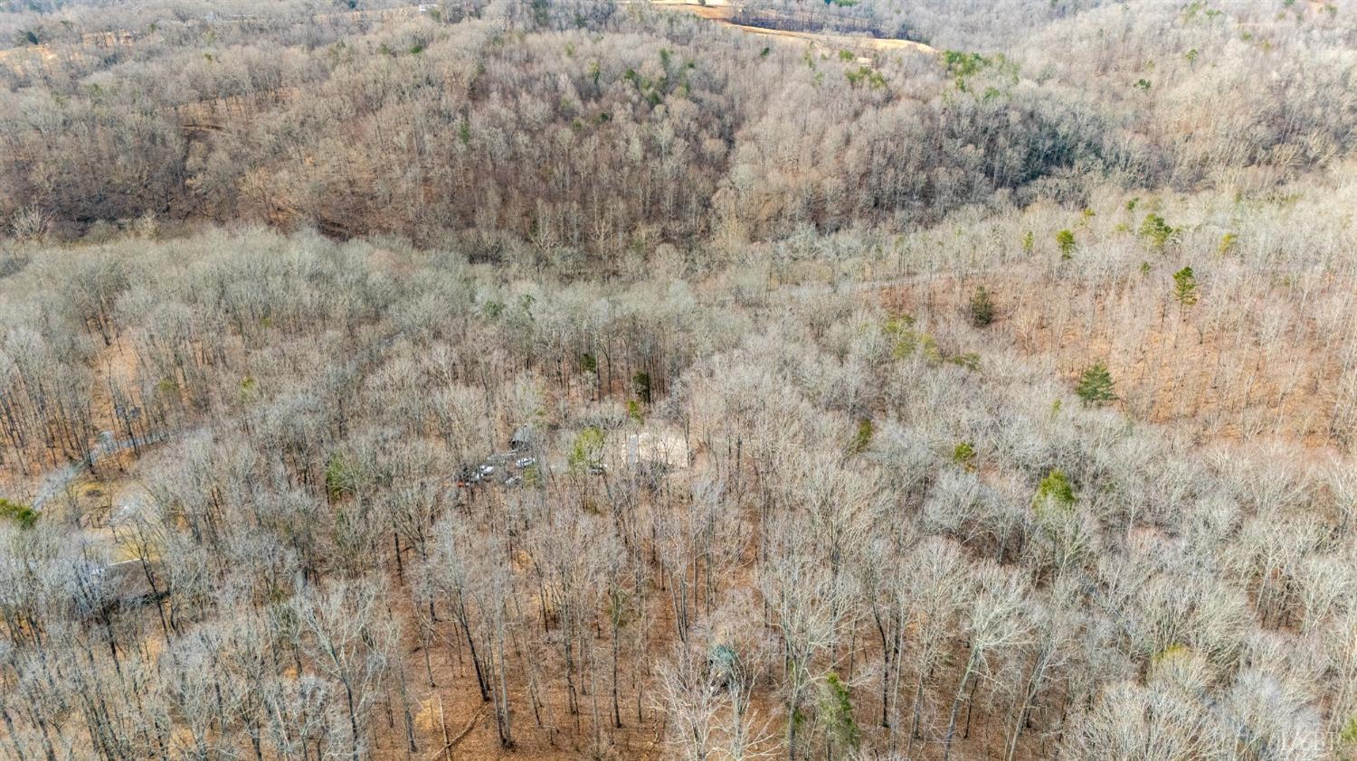 8-lot Cottage Charm Goode, VA 24556 - Photo 31 of 58 a view of a dry yard