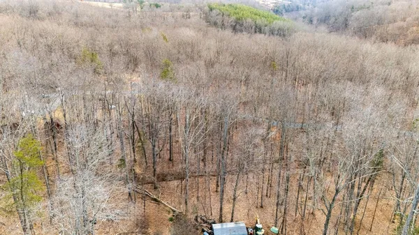 a bathroom with a shower curtain