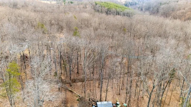 a bathroom with a shower curtain