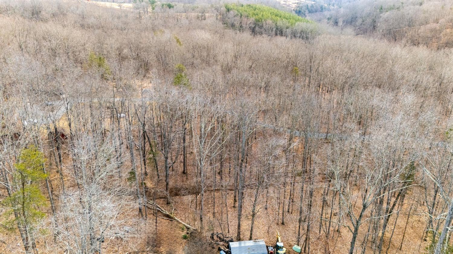 8-lot Cottage Charm Goode, VA 24556 - Photo 32 of 58 a picture of a tree with a wooden fence