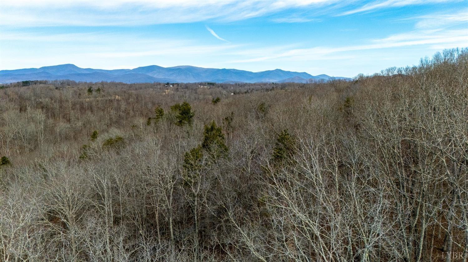 8-lot Cottage Charm Goode, VA 24556 - Photo 33 of 58 a view of a town with mountains in the background