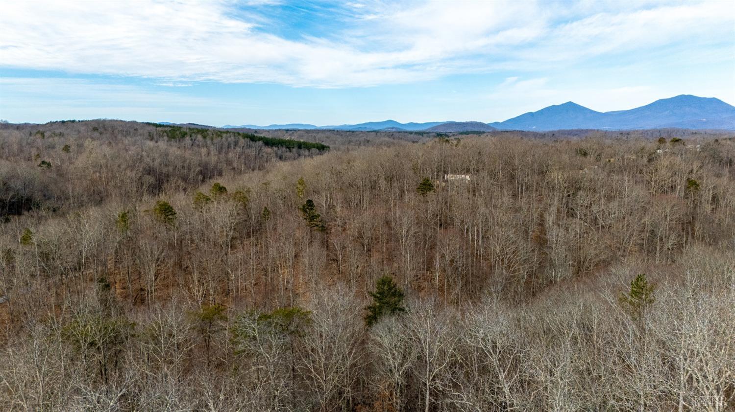 8-lot Cottage Charm Goode, VA 24556 - Photo 34 of 58 a view of mountain with lake view