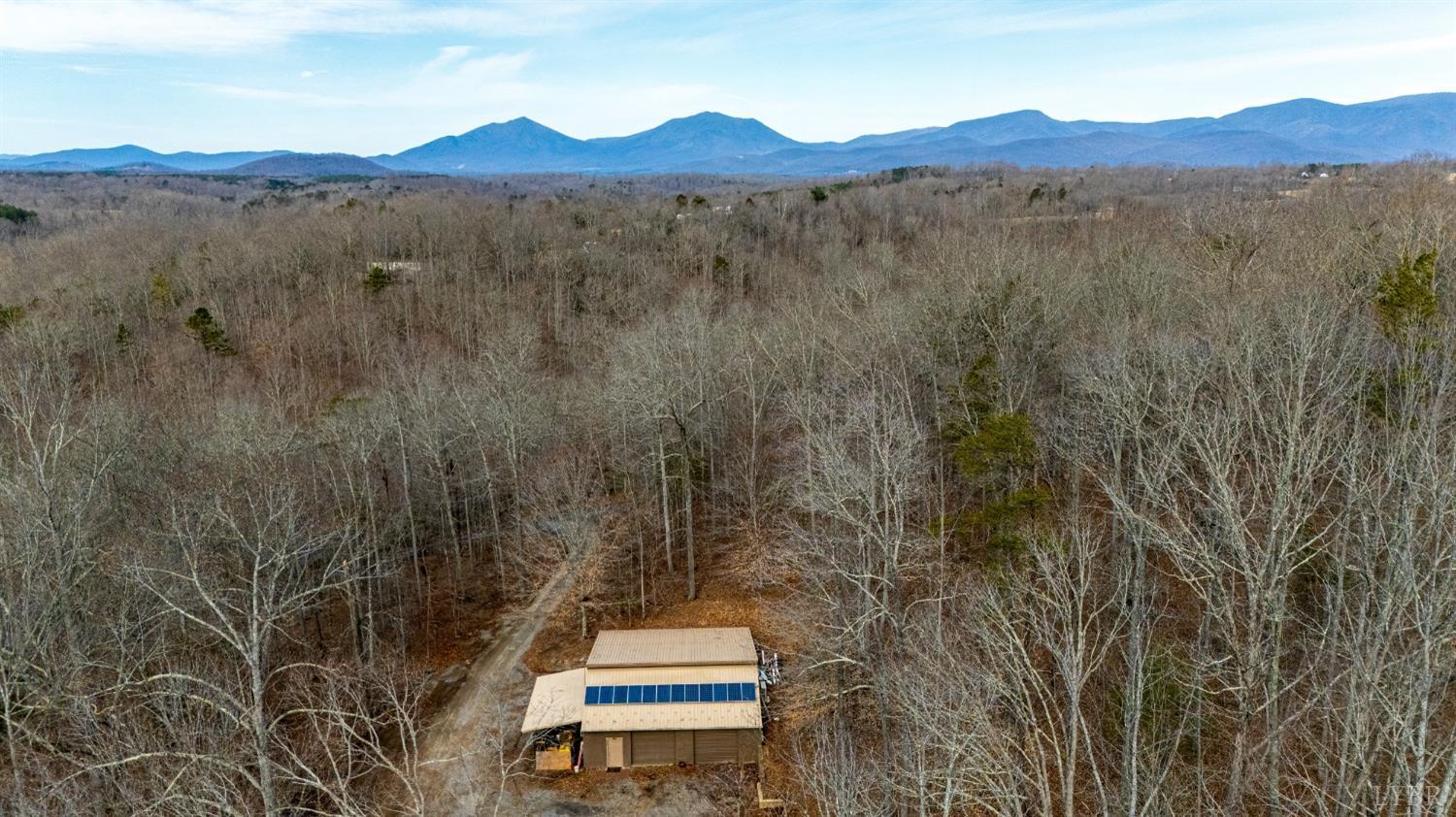 8-lot Cottage Charm Goode, VA 24556 - Photo 35 of 58 a view of a mountain with trees in the background