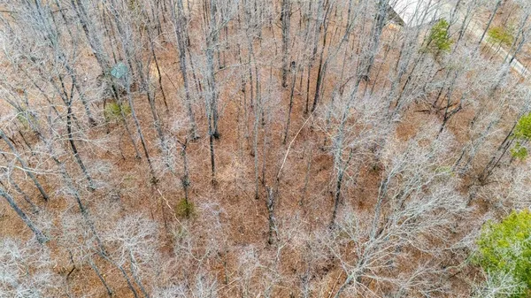 a view of backyard with green space