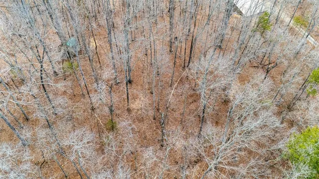 a view of backyard with green space