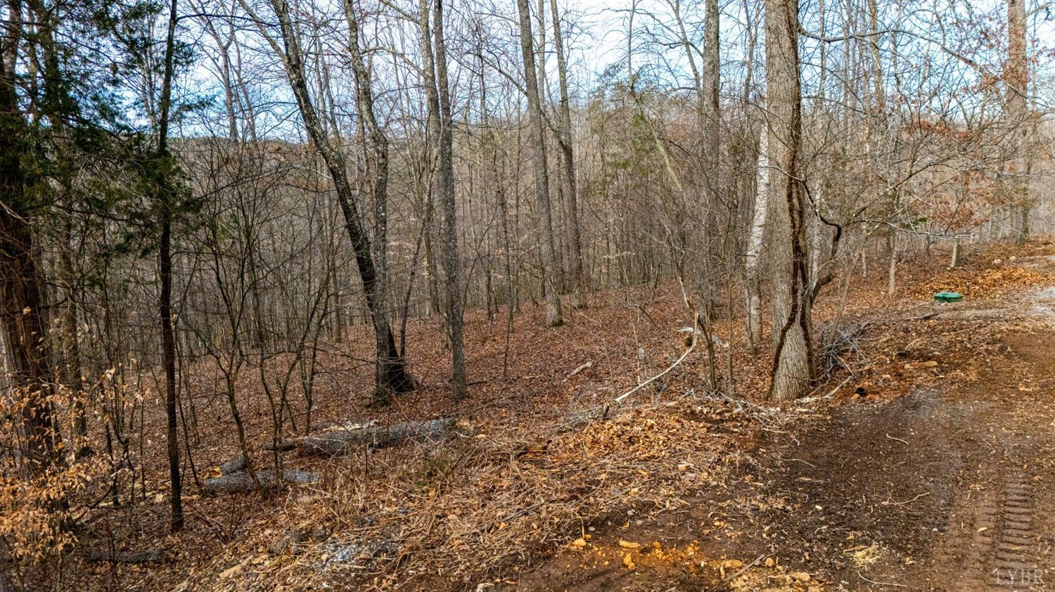 8-lot Cottage Charm Goode, VA 24556 - Photo 42 of 58 a view of a yard with large trees