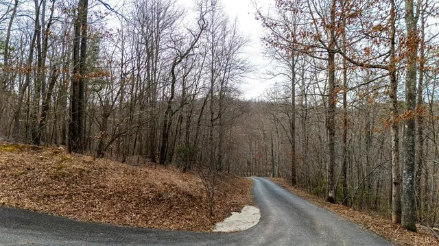 a view of outdoor space with trees