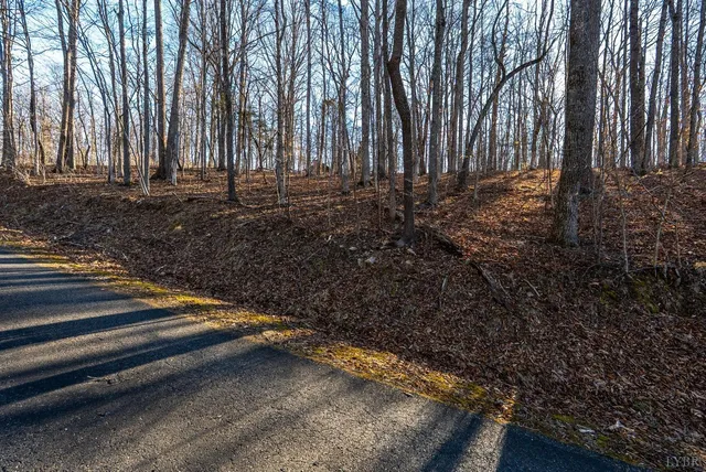 a view of a backyard of the house
