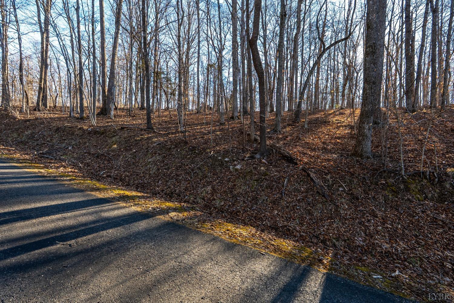 8-lot Cottage Charm Goode, VA 24556 - Photo 44 of 58 a view of backyard with green space