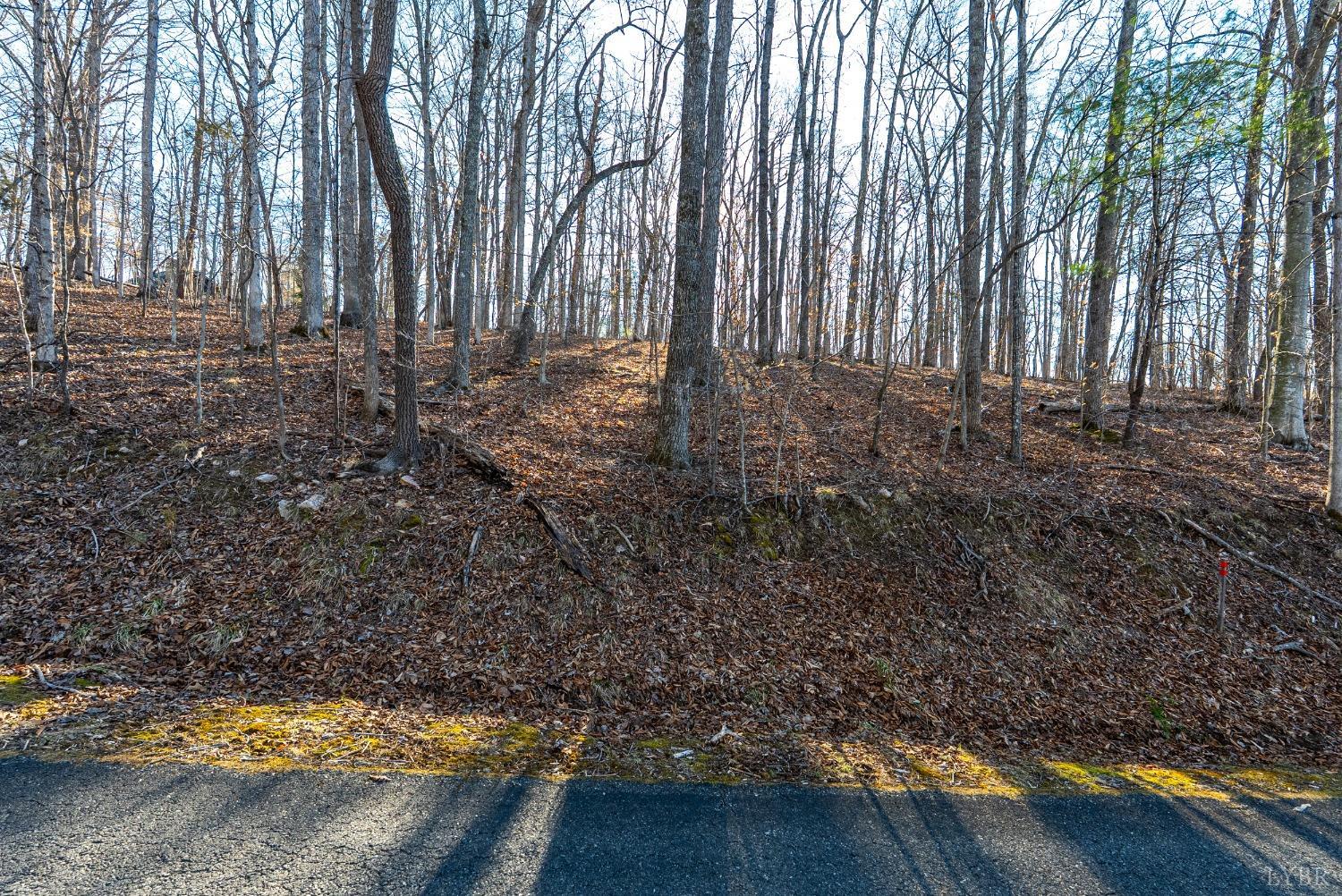 8-lot Cottage Charm Goode, VA 24556 - Photo 45 of 58 a view of backyard with tree