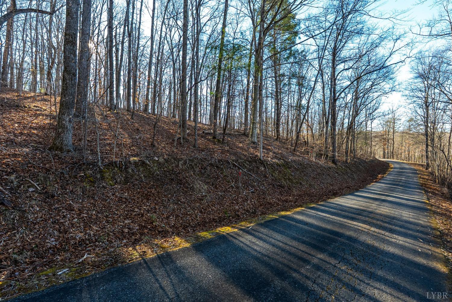 8-lot Cottage Charm Goode, VA 24556 - Photo 46 of 58 a view of a yard with large trees
