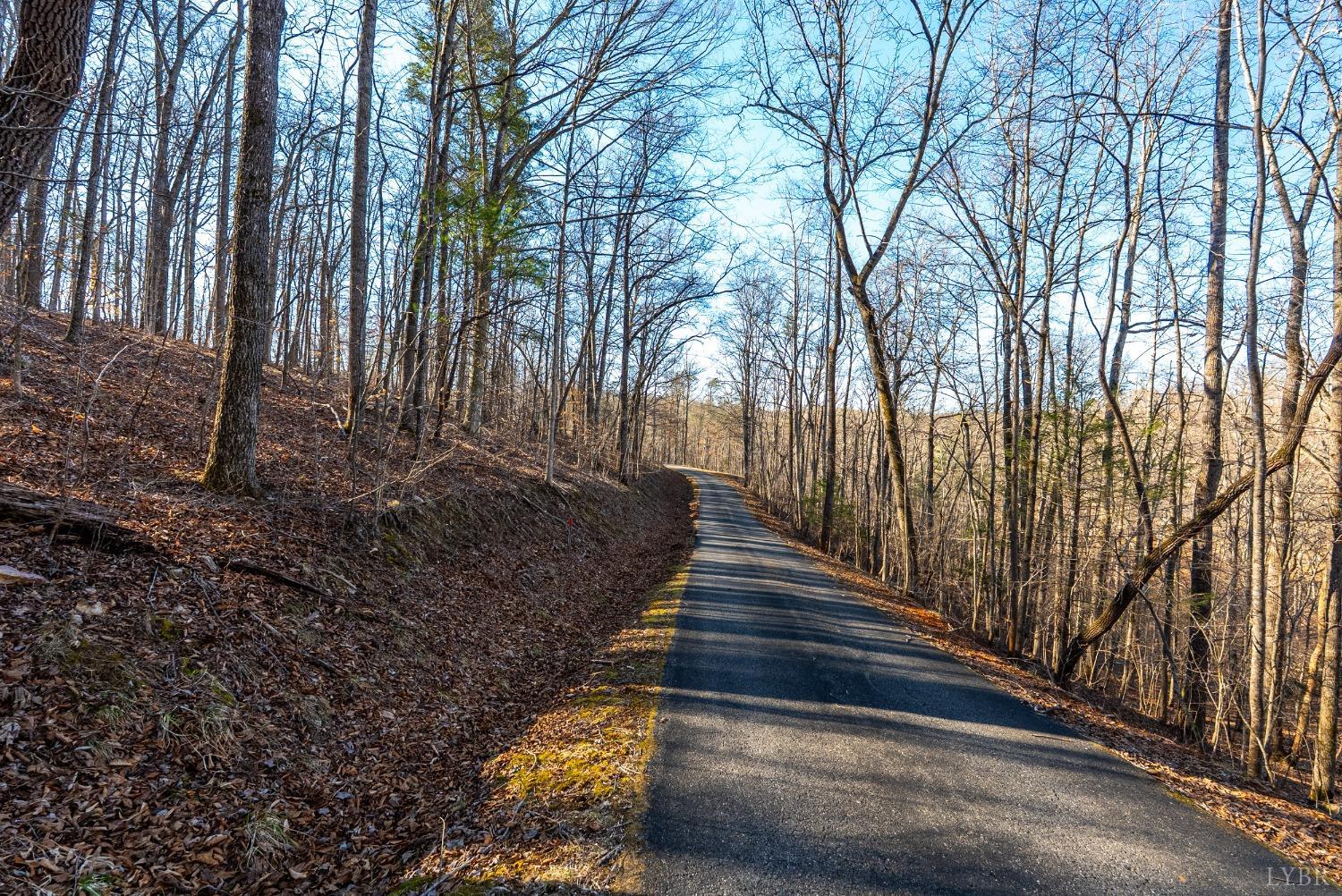 8-lot Cottage Charm Goode, VA 24556 - Photo 47 of 58 a view of a yard with large trees
