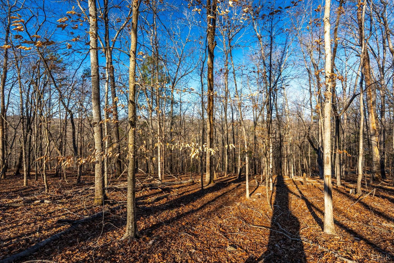 8-lot Cottage Charm Goode, VA 24556 - Photo 48 of 58 a view of under construction area