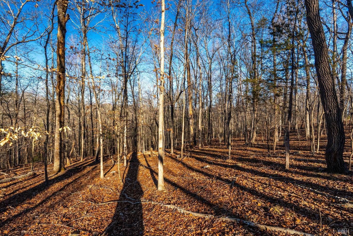 8-lot Cottage Charm Goode, VA 24556 - Photo 49 of 58 a view of a backyard with a trees