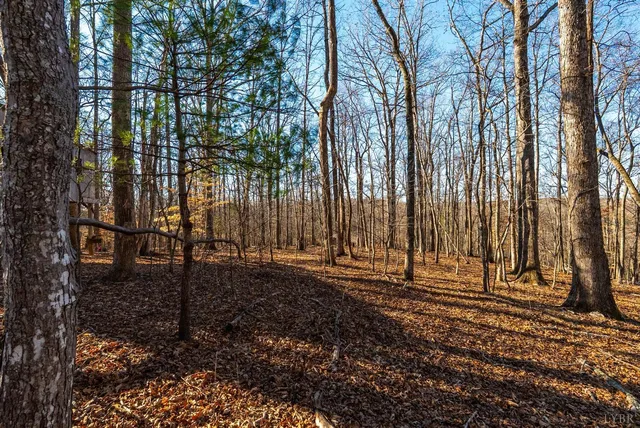 a view of a backyard of the house