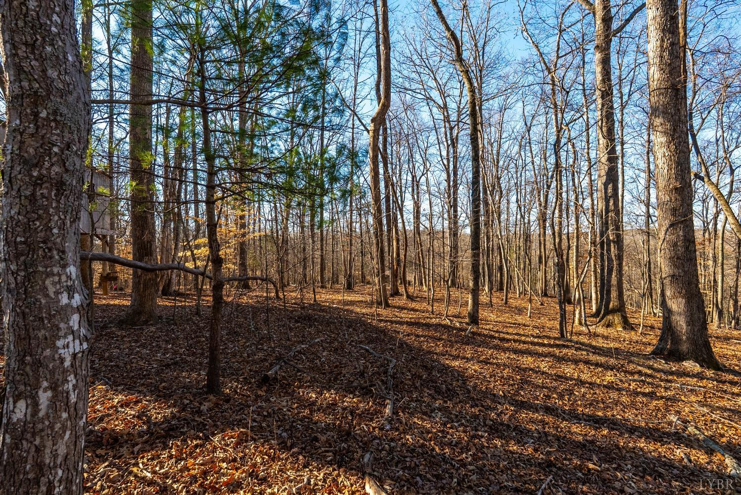 8-lot Cottage Charm Goode, VA 24556 - Photo 50 of 58 a view of a backyard with large trees