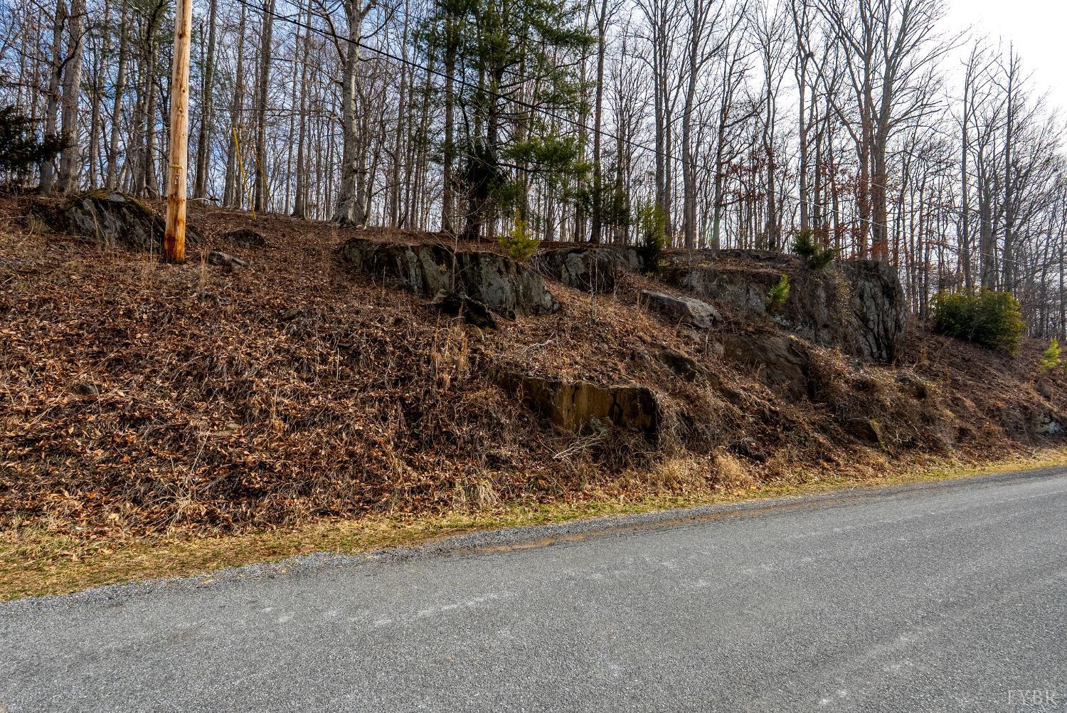 8-lot Cottage Charm Goode, VA 24556 - Photo 5 of 58 a backyard of a house with lots of green space
