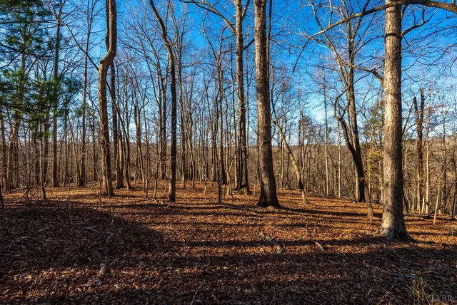 $350,000 | 8-lot Cottage Charm, Goode, VA 24556