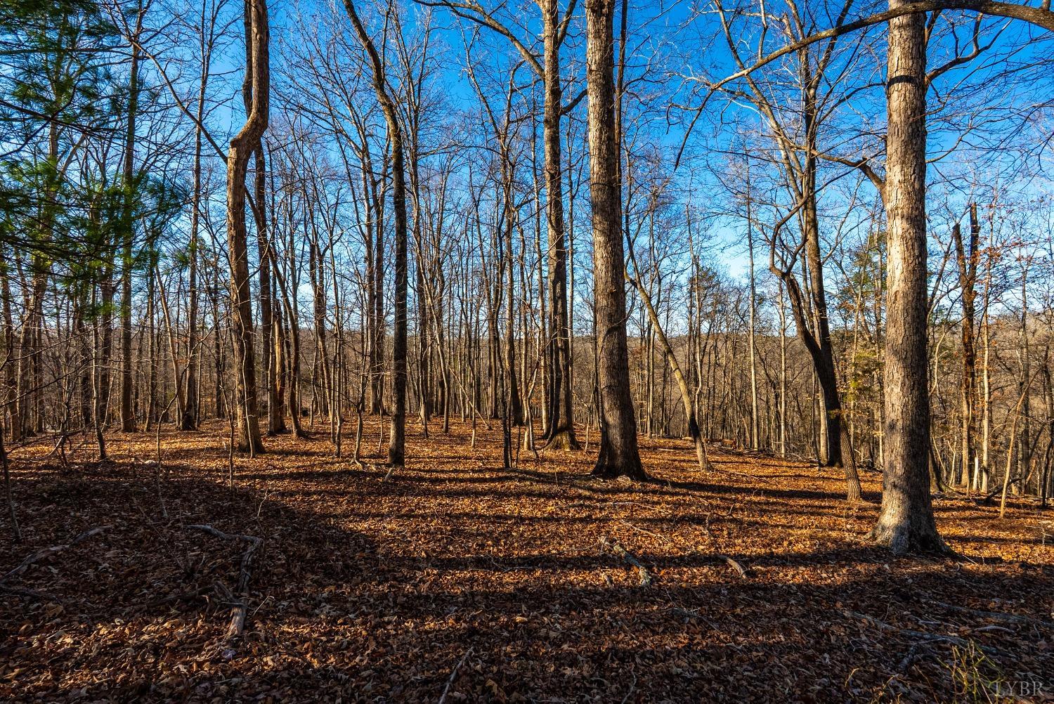 8-lot Cottage Charm Goode, VA 24556 - Photo 51 of 58 a view of outdoor space with trees