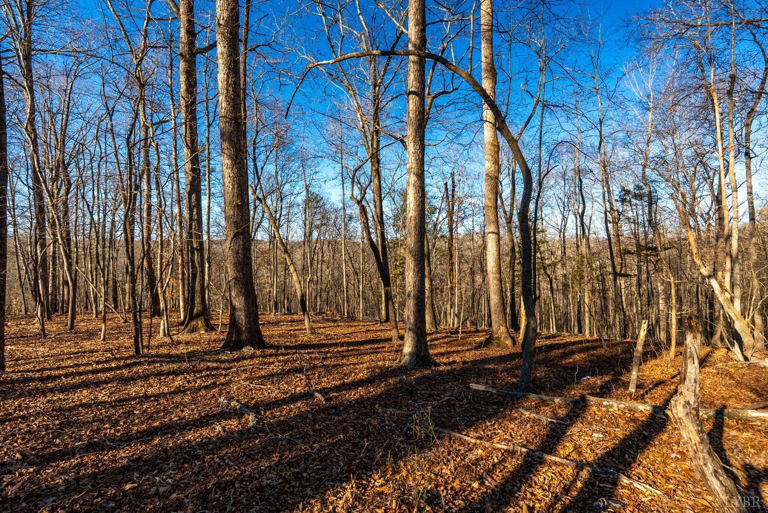 8-lot Cottage Charm Goode, VA 24556 - Photo 52 of 58 a view of a backyard of the house