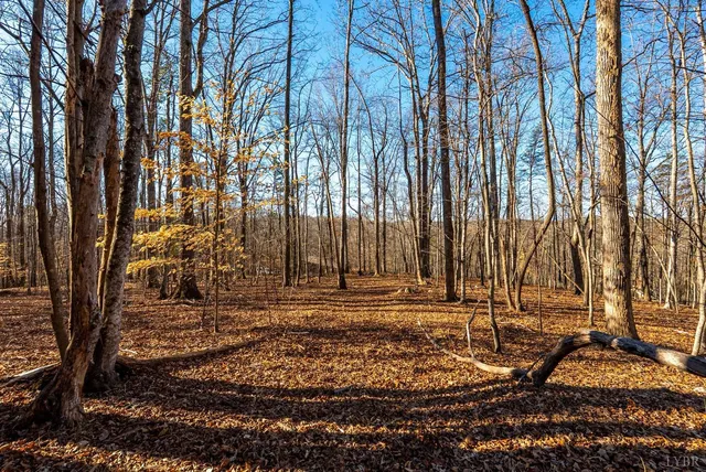 $350,000 | 8-lot Cottage Charm, Goode, VA 24556