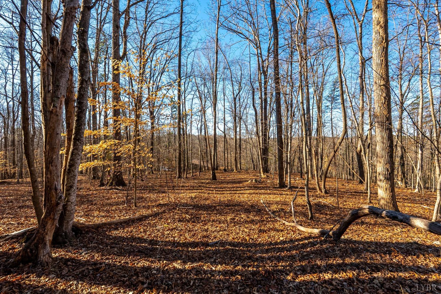 8-lot Cottage Charm Goode, VA 24556 - Photo 54 of 58 a view of a backyard with of trees