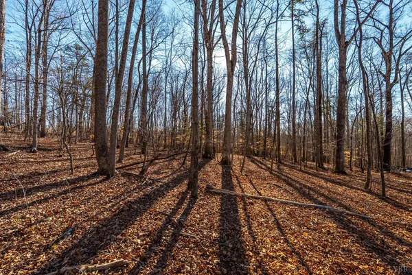 $350,000 | 8-lot Cottage Charm, Goode, VA 24556