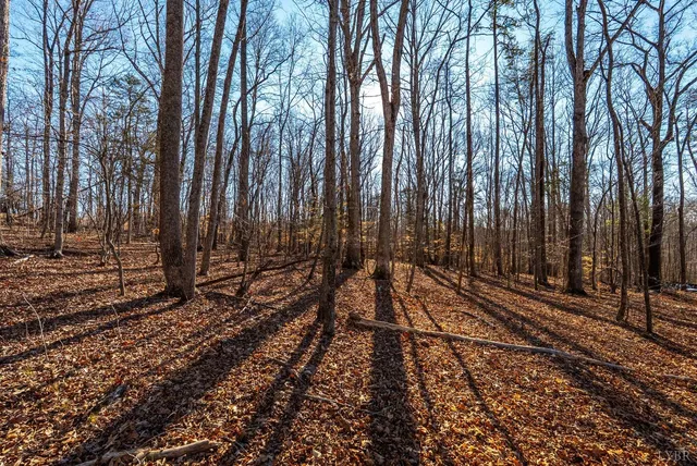 $350,000 | 8-lot Cottage Charm, Goode, VA 24556